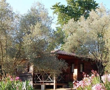 Gites Chalets De Grosseto-Prugna Экстерьер фото