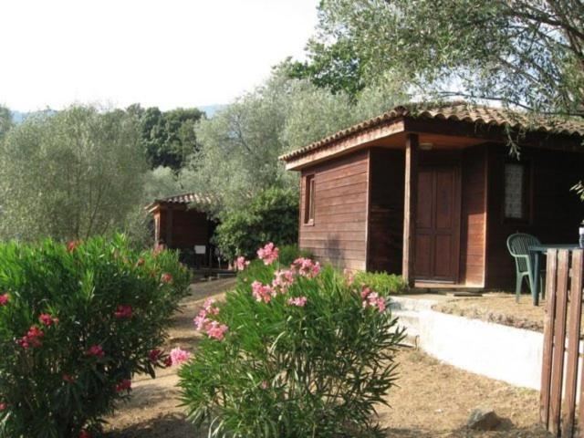 Gites Chalets De Grosseto-Prugna Экстерьер фото