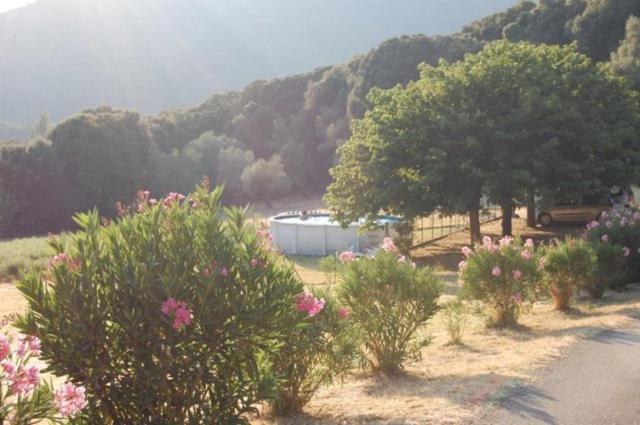 Gites Chalets De Grosseto-Prugna Экстерьер фото