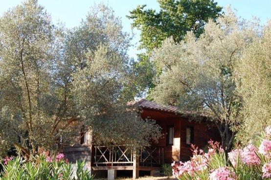 Gites Chalets De Grosseto-Prugna Экстерьер фото