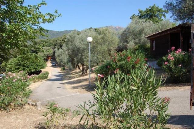 Gites Chalets De Grosseto-Prugna Экстерьер фото
